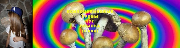 PSILOCYBIN Аркадак